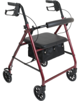 Rollator - ProBasics RLA6 - Basic 6-in. Wheel Rolling  Walker
